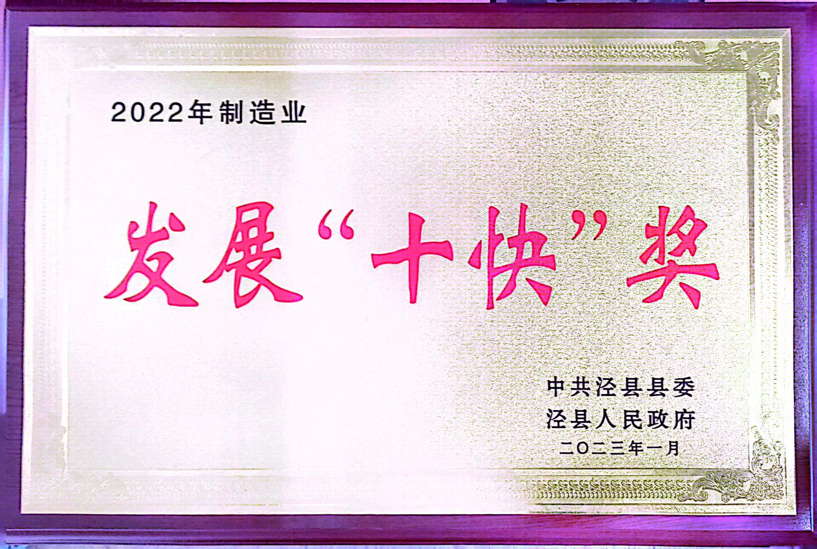 發(fā)展十“快”獎(jiǎng)